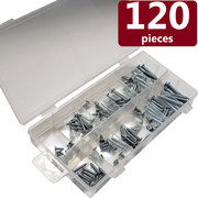 BLUE DONUTS Screw Assortment Kit, Screwdriver Needed, Variety of Sizes, 120 Piece BD3536220